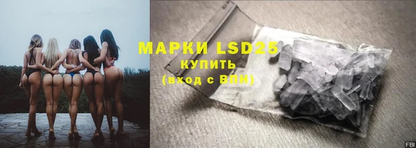 ПСИЛОЦИБИНОВЫЕ ГРИБЫ Алзамай