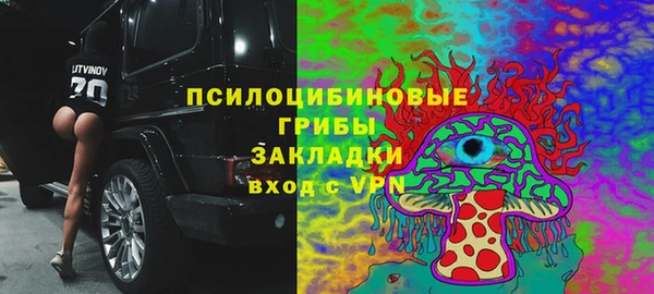 мескалин Алексин