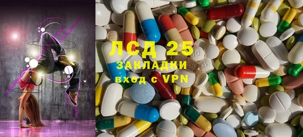 ПСИЛОЦИБИНОВЫЕ ГРИБЫ Алзамай