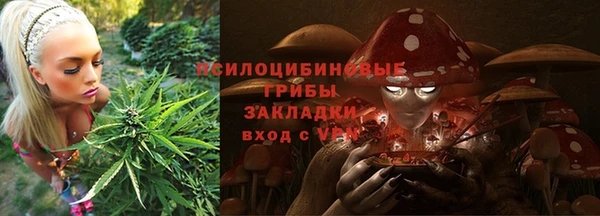 стаф Алексеевка